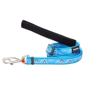 RedDingo רצועה לכלב S טורקיז פינגווין