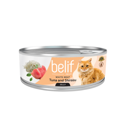 belif - מעדן בטעם טונה ושיראסו בג'לי 80 גרם