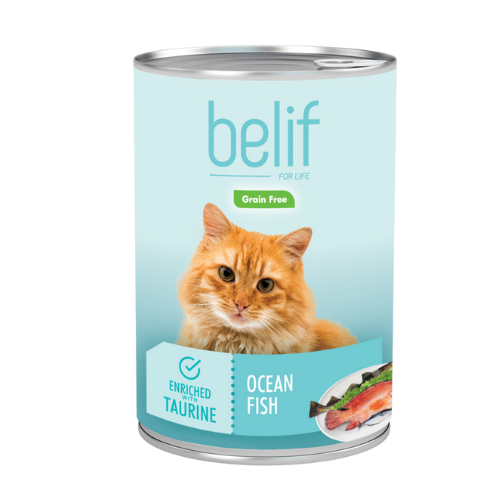 belif שימורים לחתולים 400 גרם בטעם דגי ים