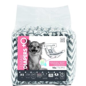 חיתולים לכלבים 10 יחידות XS