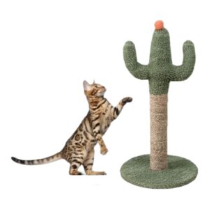 מגרדת קקטוס 30*30*60