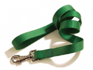 Camon רצועה לכלב ירוק 18 מ"מ 1.5מ'