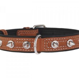 WAUDOG קולר עור חום עם ניטים M