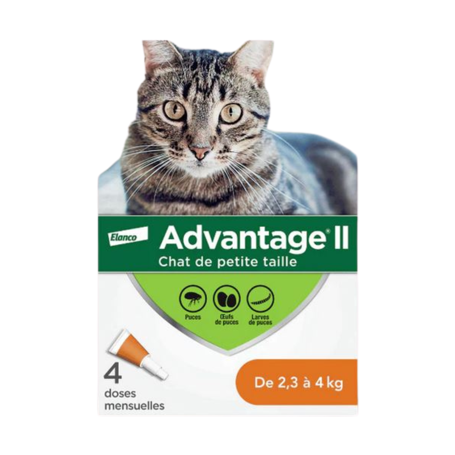 אדוונטג' 40 לחתול עד 4 ק"ג