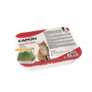 Camon דשא לחתולים