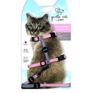 M-PETS רתמה + רצועה לחתול ורוד