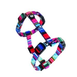 M-PETS רתמה + רצועה לחתול צבעוני