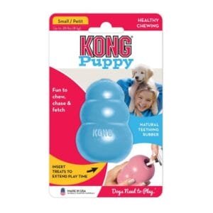 KONG קונג פאפי לגורי כלבים תכלת S